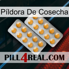 Píldora De Cosecha levitra2